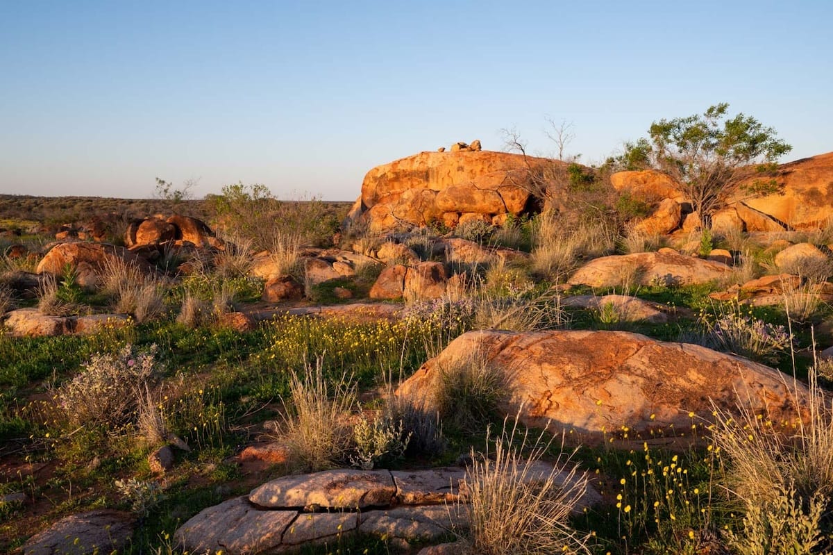 Landscape with rocks